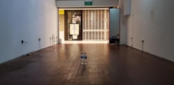 Lucky Plaza (D15), Retail #539204481